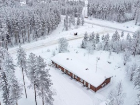Holiday Home Ylä-luosta by Interhome